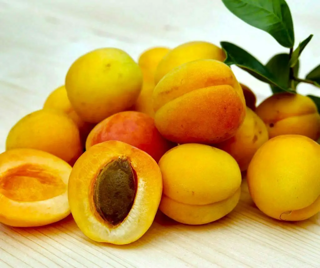 Apricots