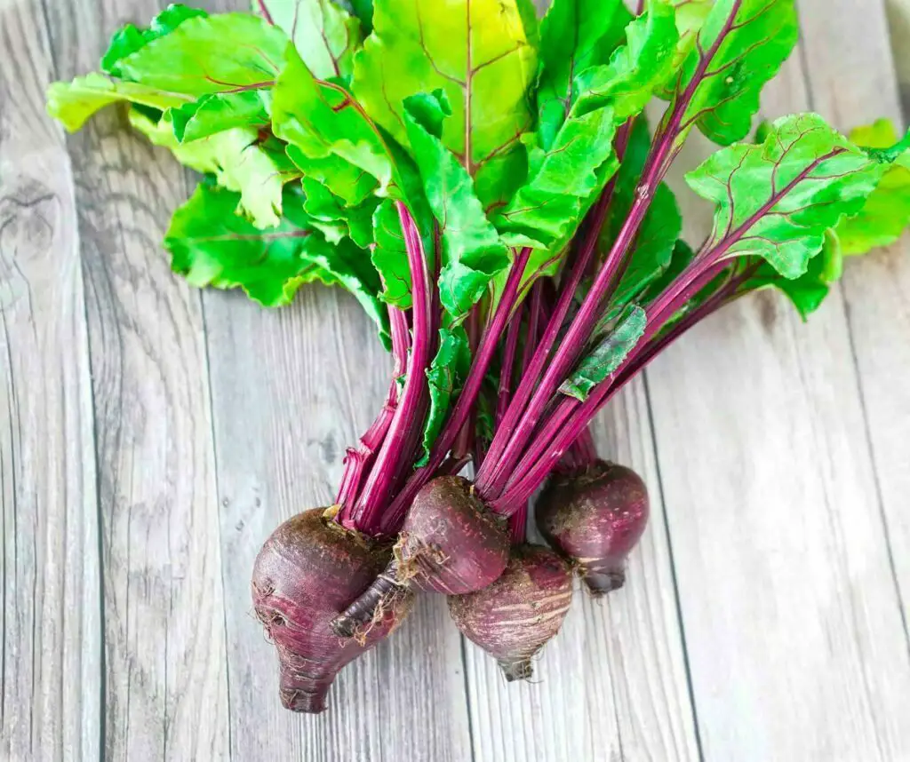 Beets with leaves