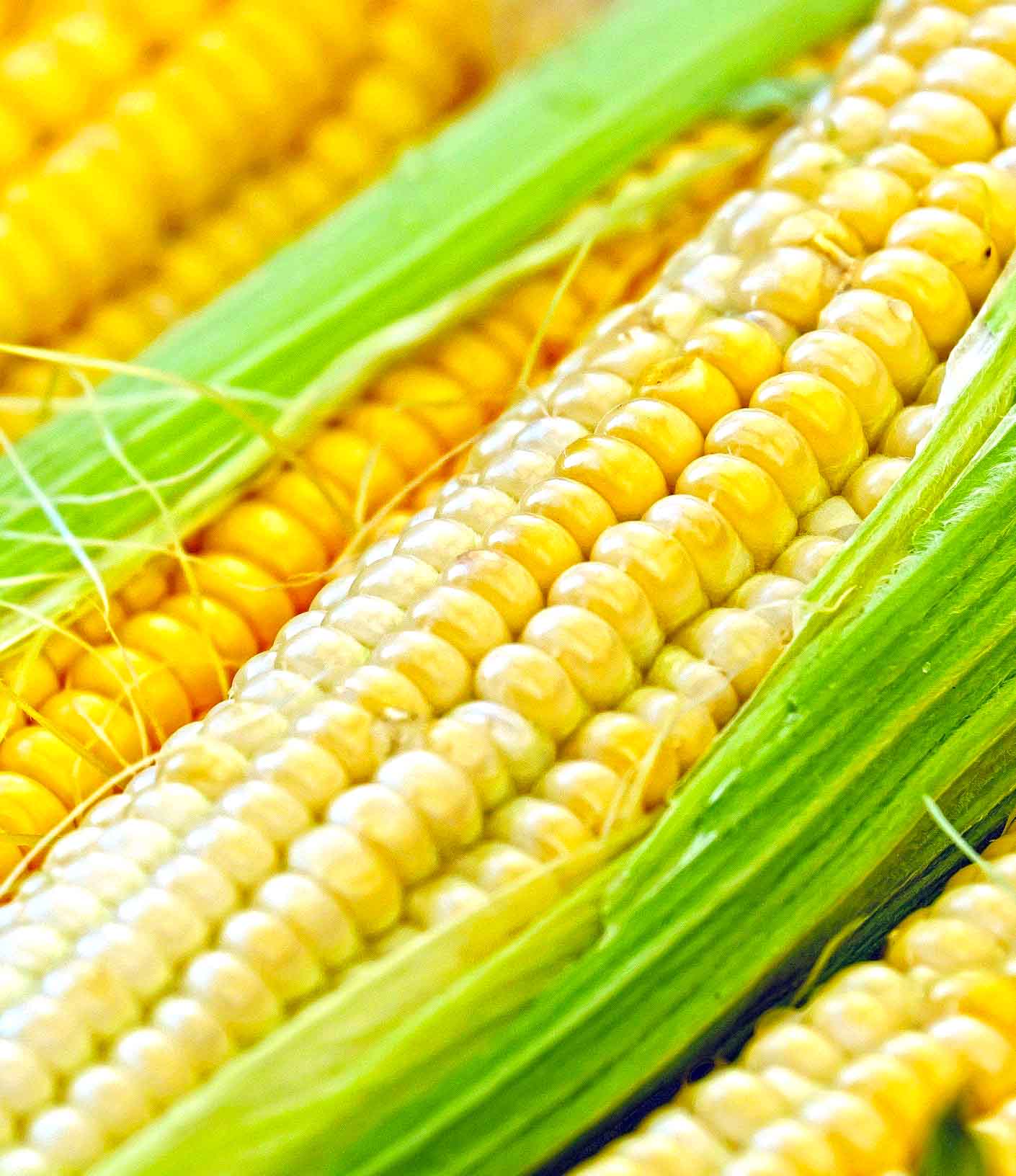 Corn