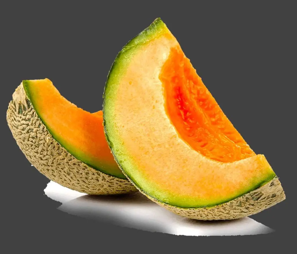 Melon