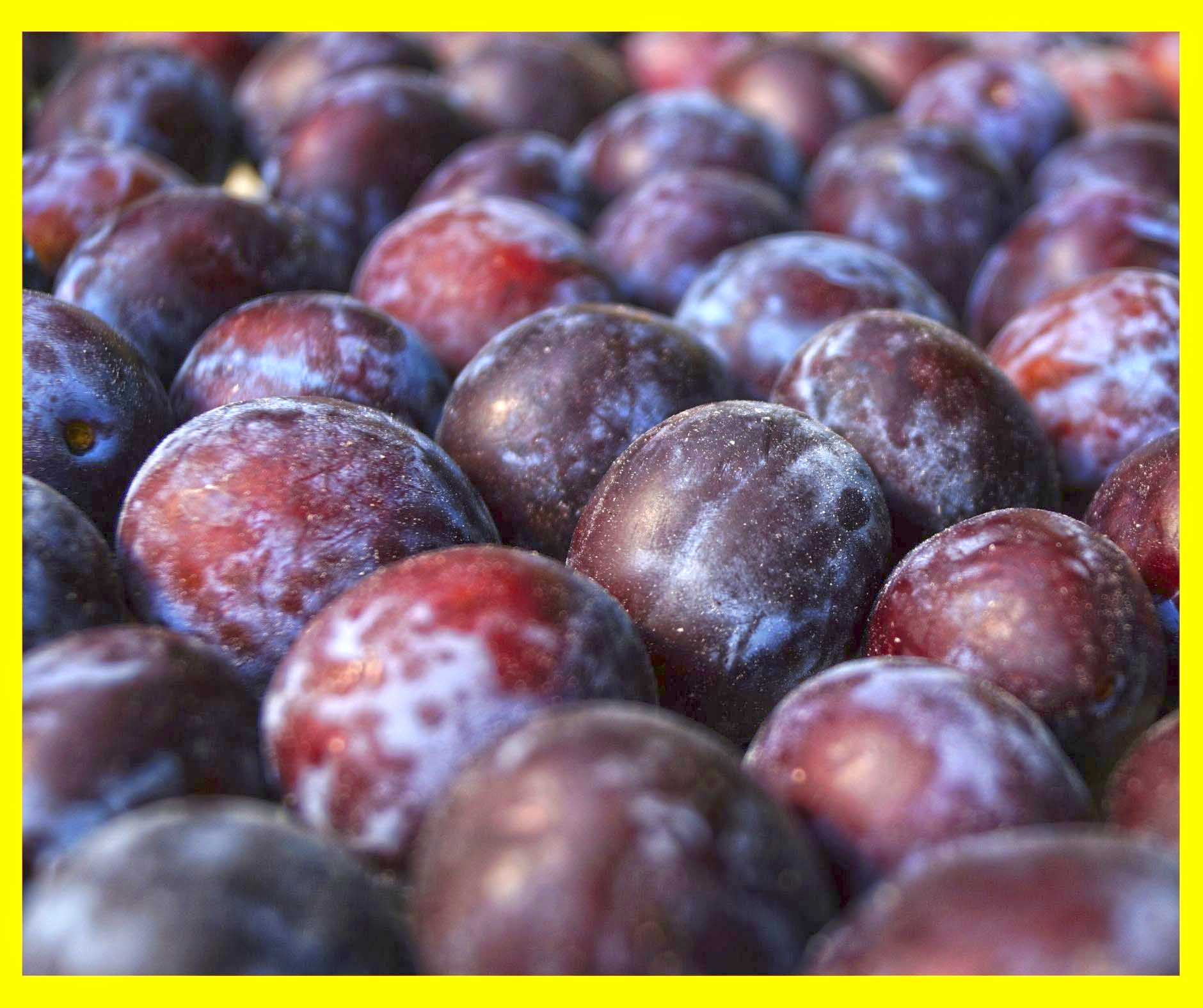 Plums