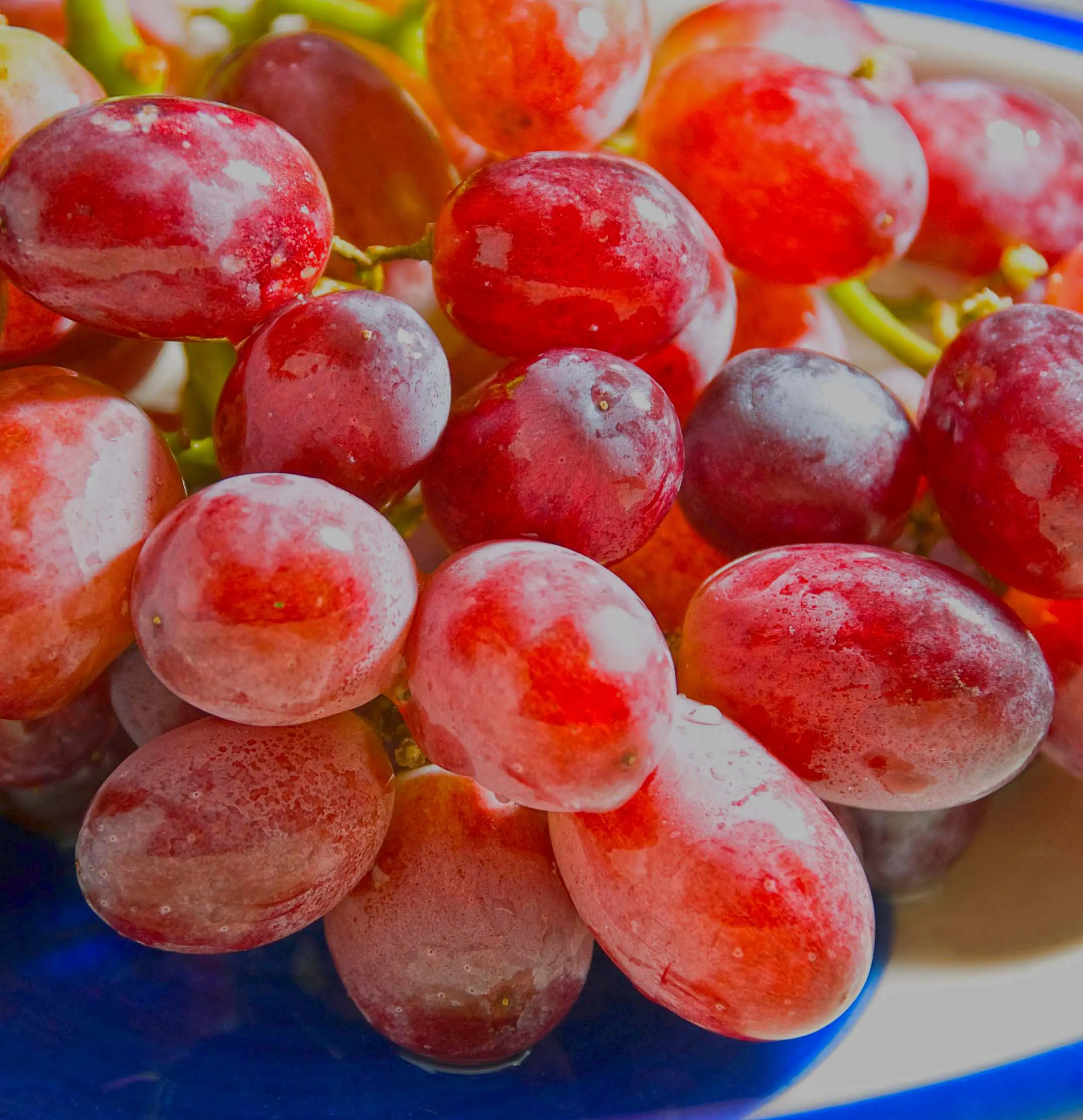 Red grapes bunch