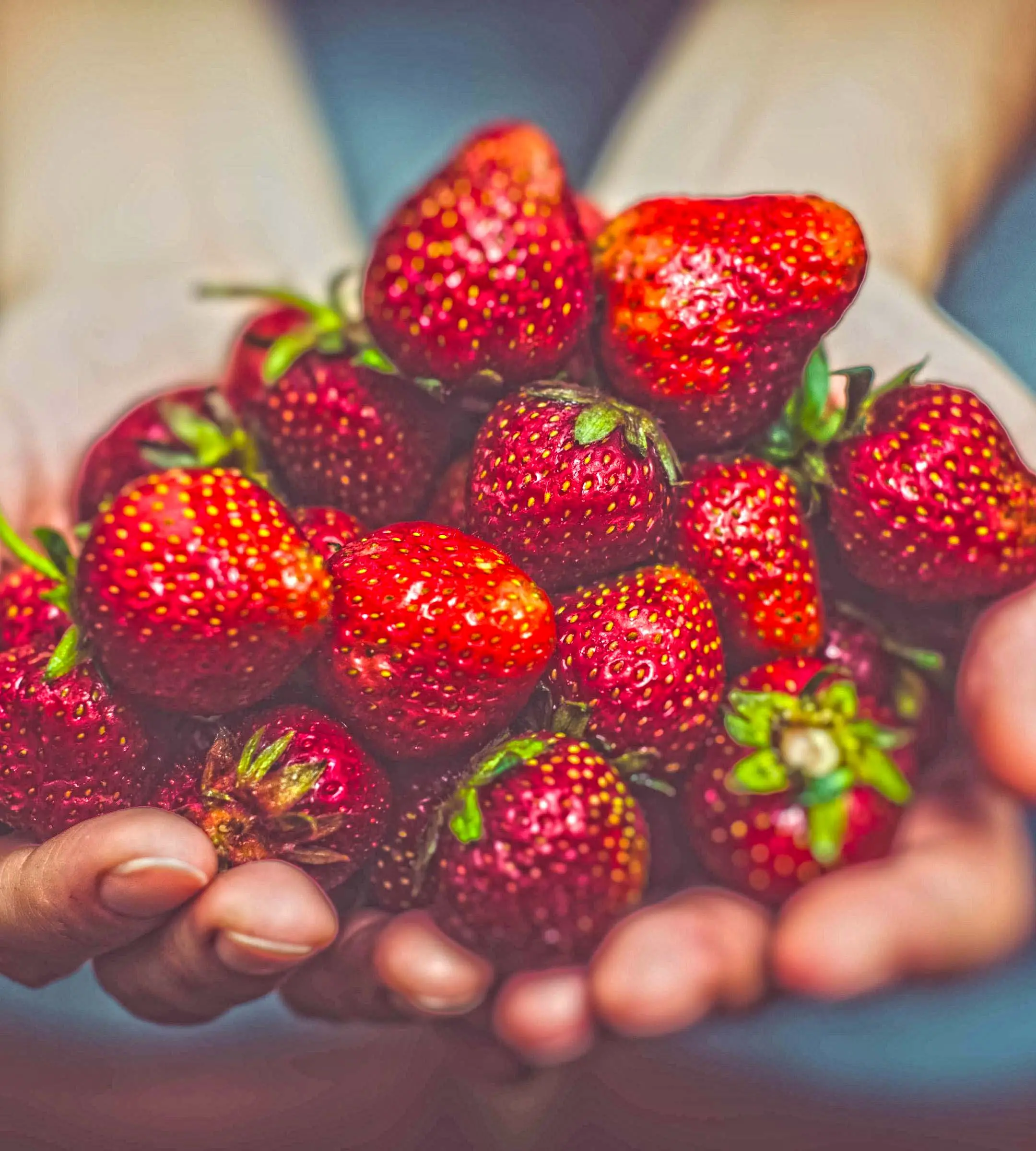 Strawberries on hand