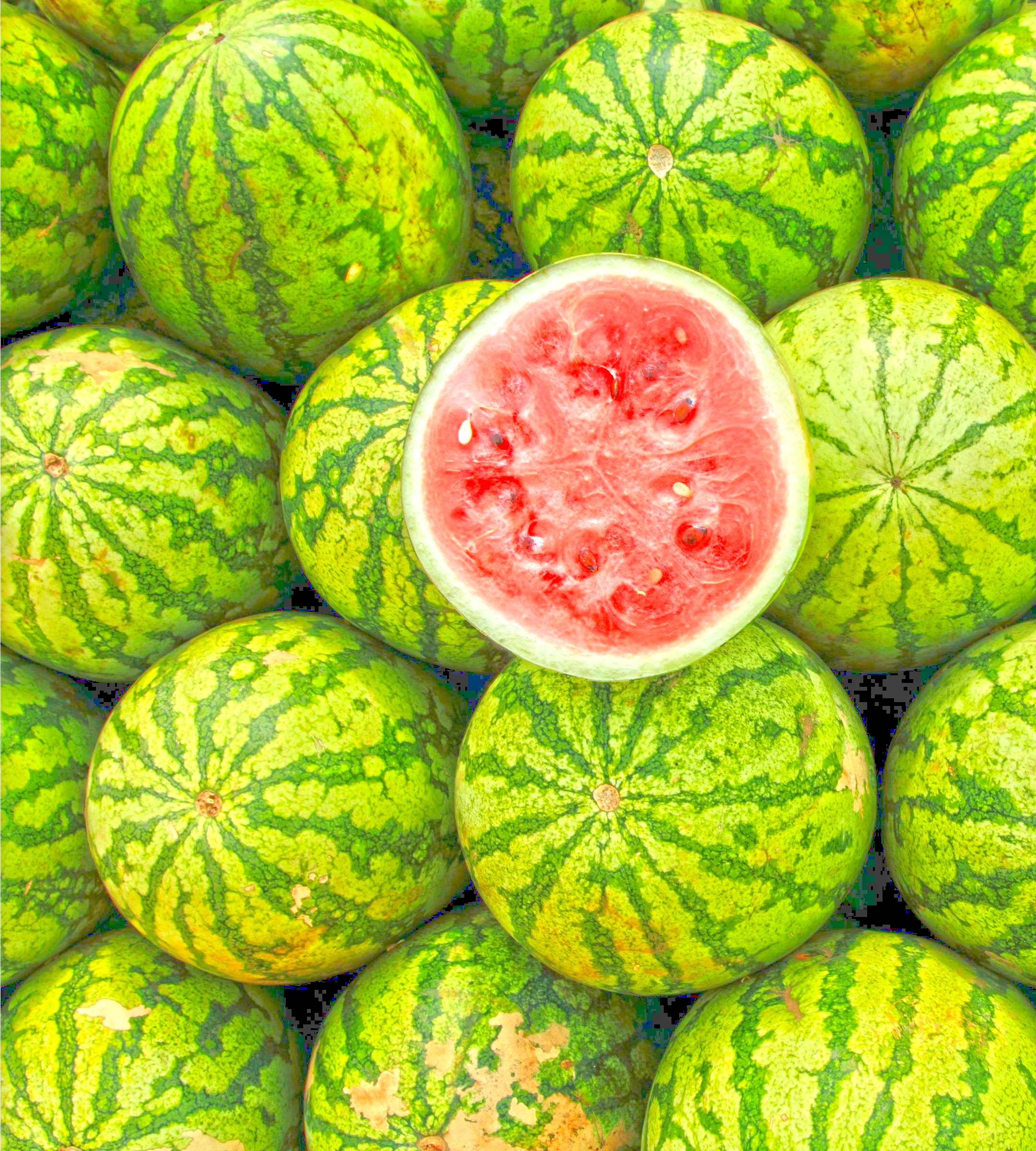 Watermelons and slice