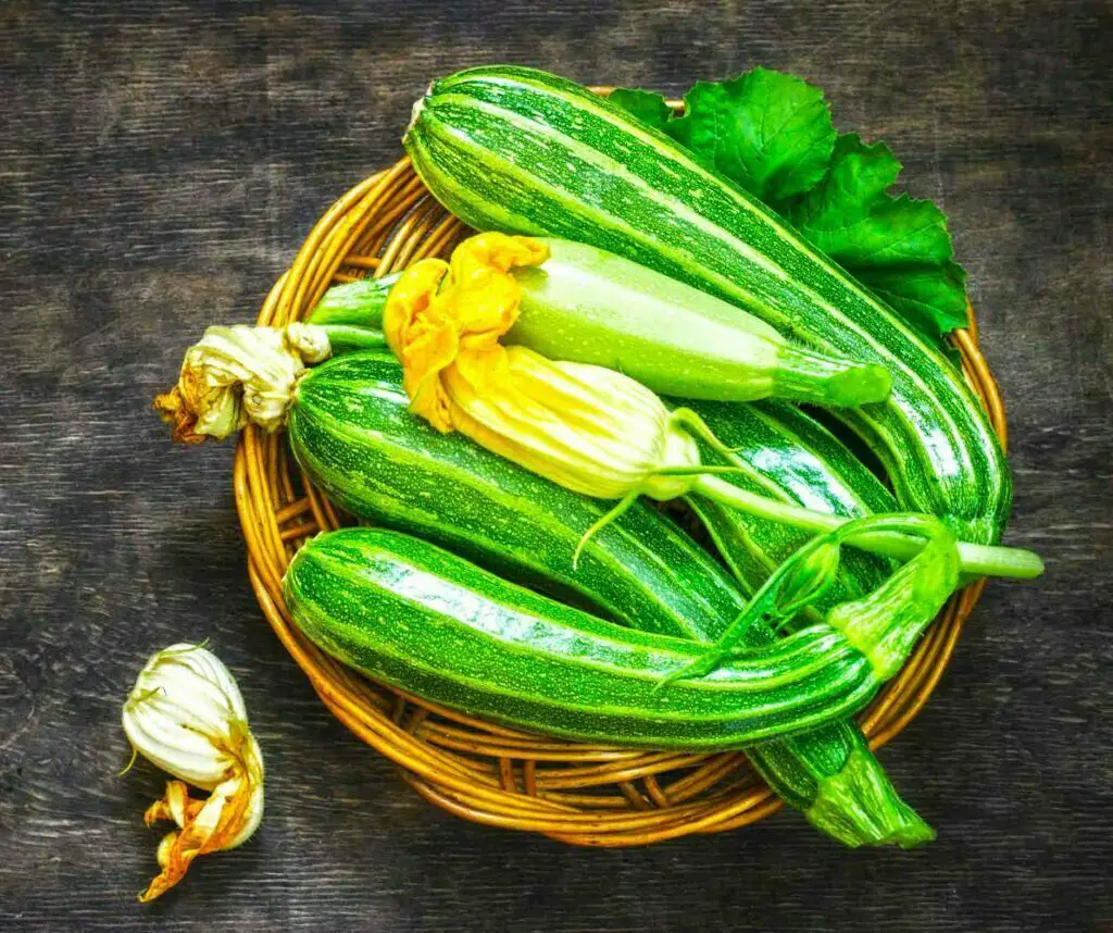 Zucchini with flowers