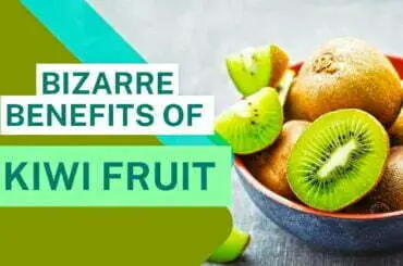 Benefits of kiwifruit