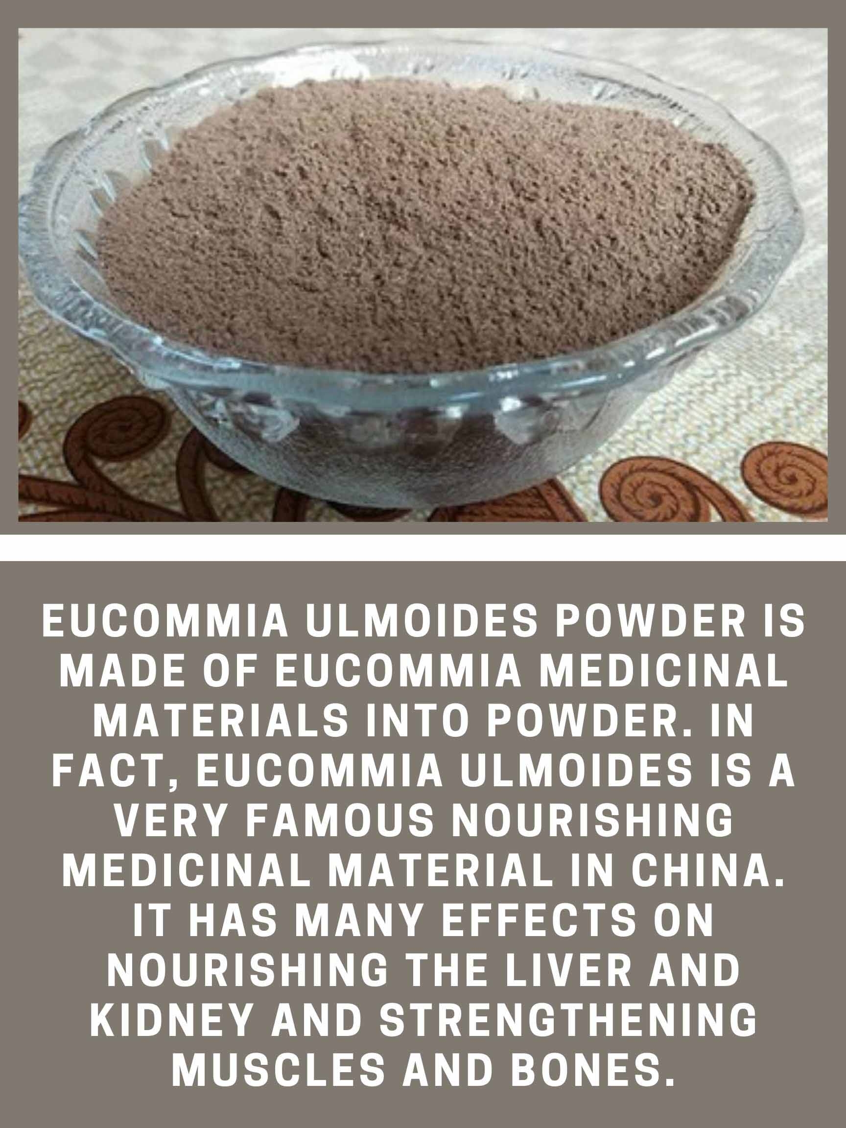 Eucommia powder benefits