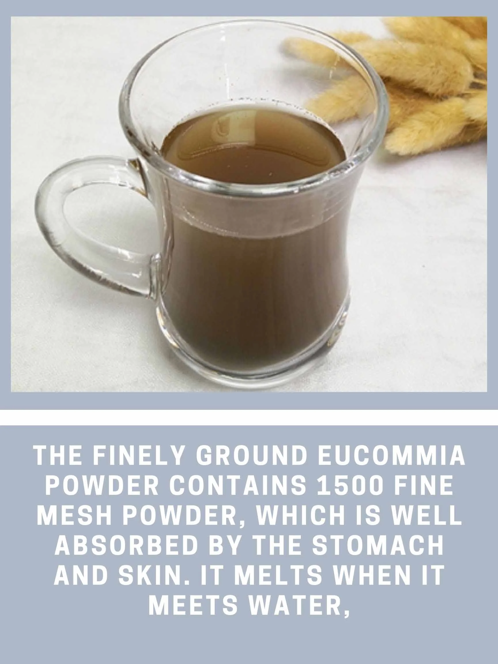 Eucommia Powder Benefits, Efficacy, And Precautions 3 Eucommia tea