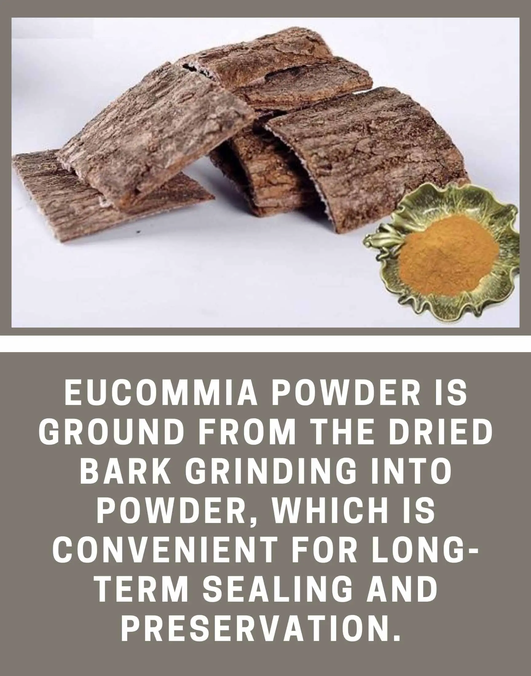 How to make eucommia powder