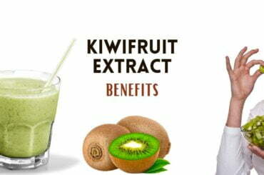 Kiwi fruit extract benefits