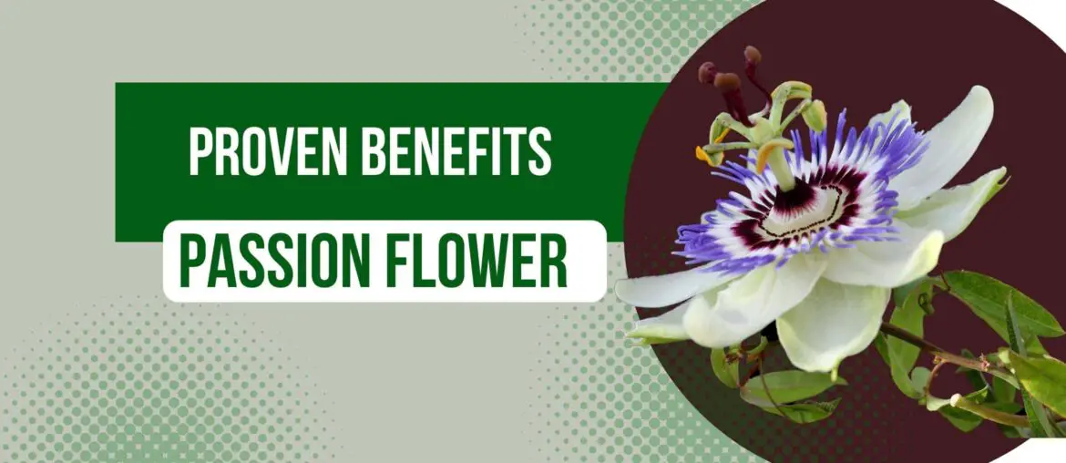 Proven benefits of passion flower