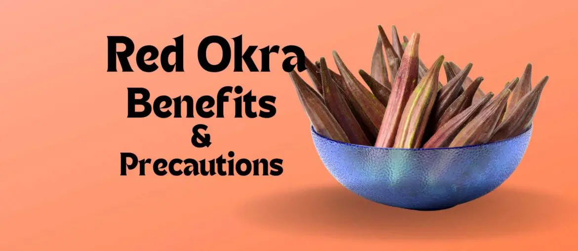 Red Okra Benefits and precautions