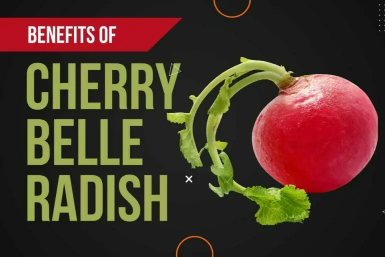 Cherry belle radish health benefits