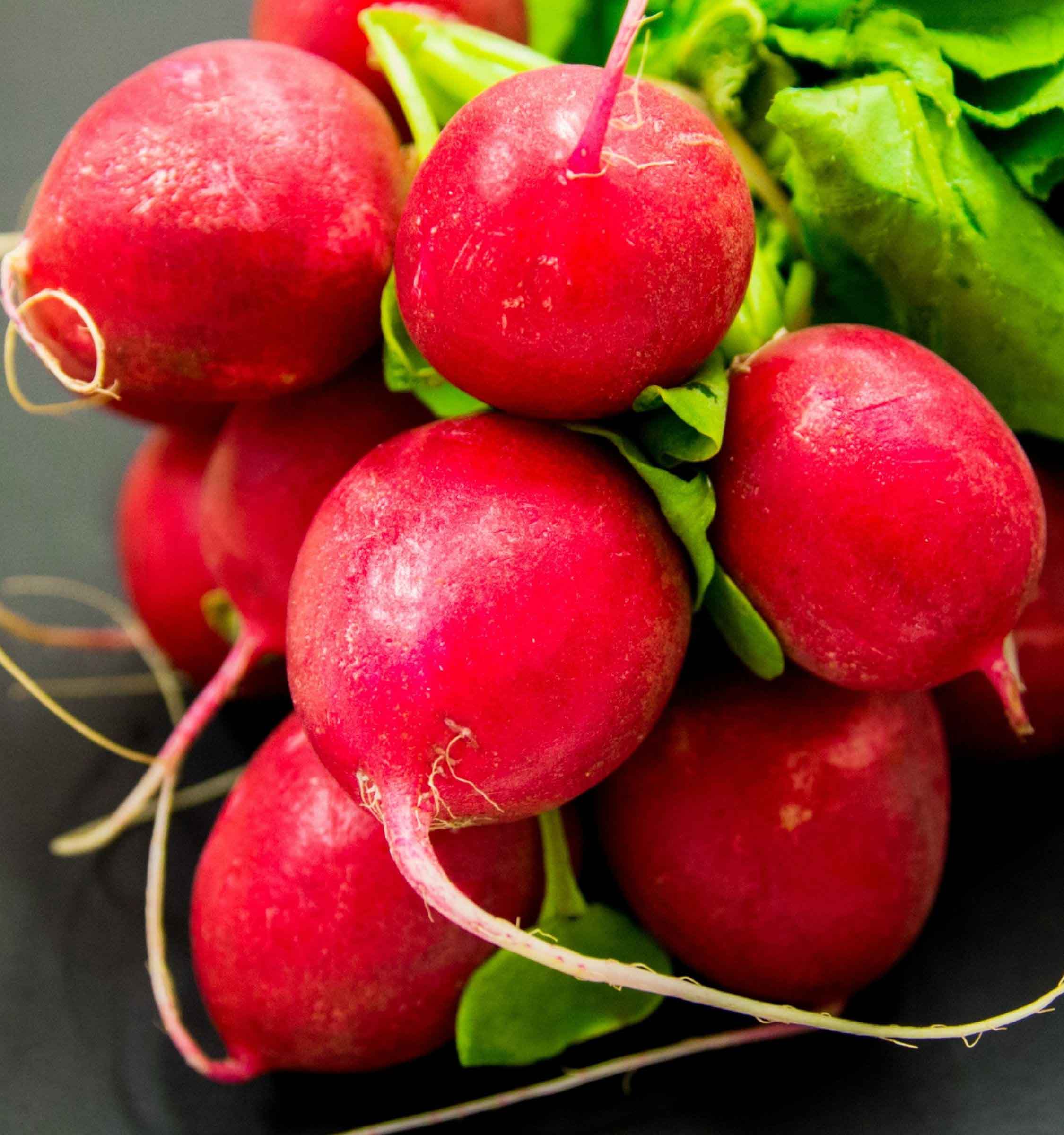 Cherry belle radish roots