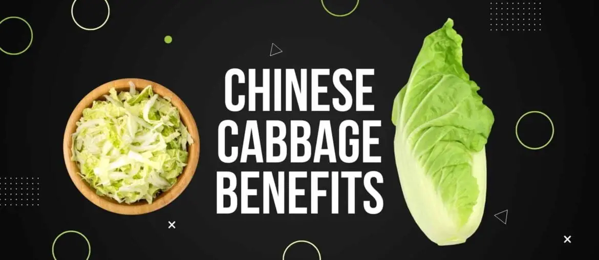 Chinese Cabbage Benefits