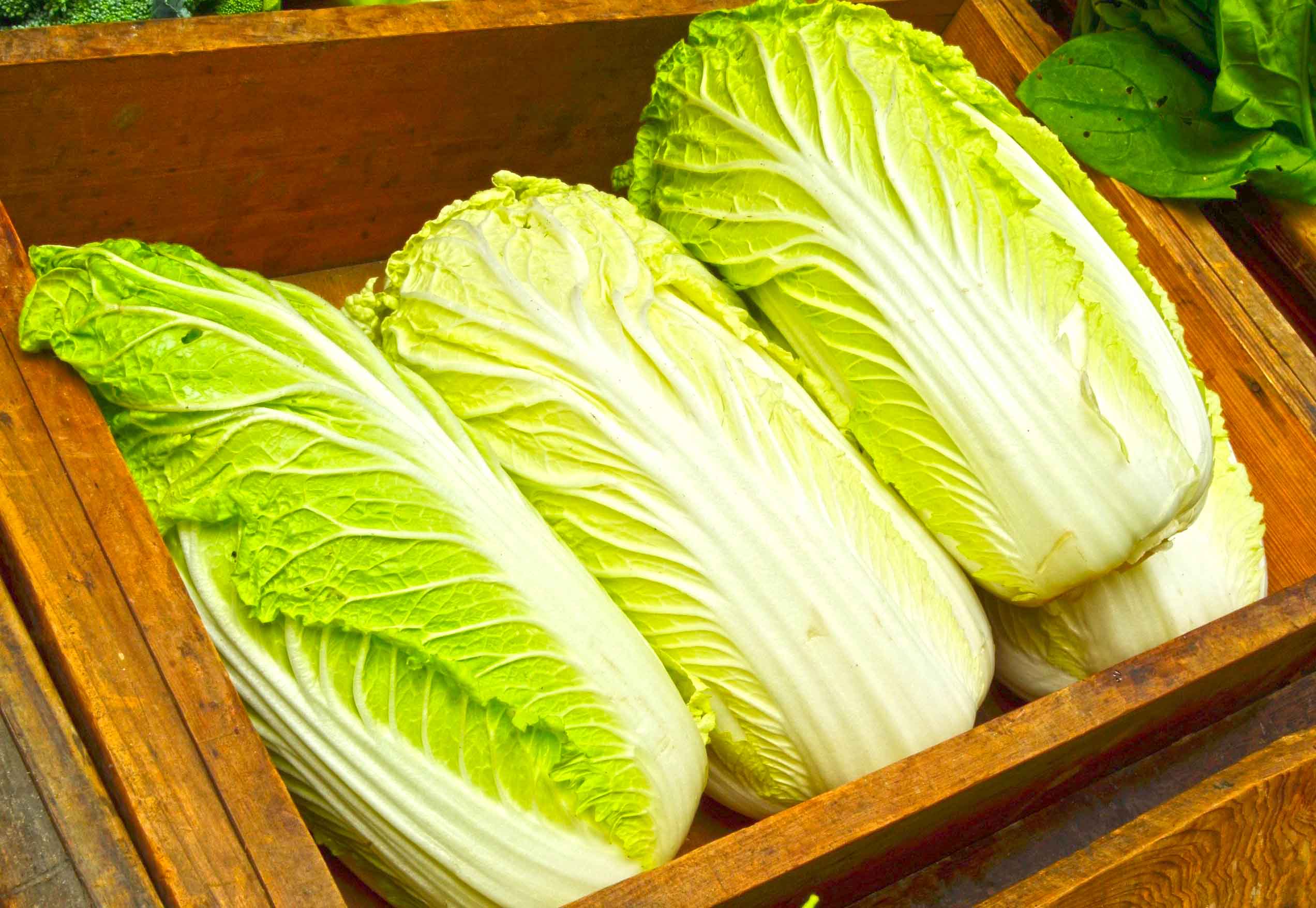 Chinese Cabbage box