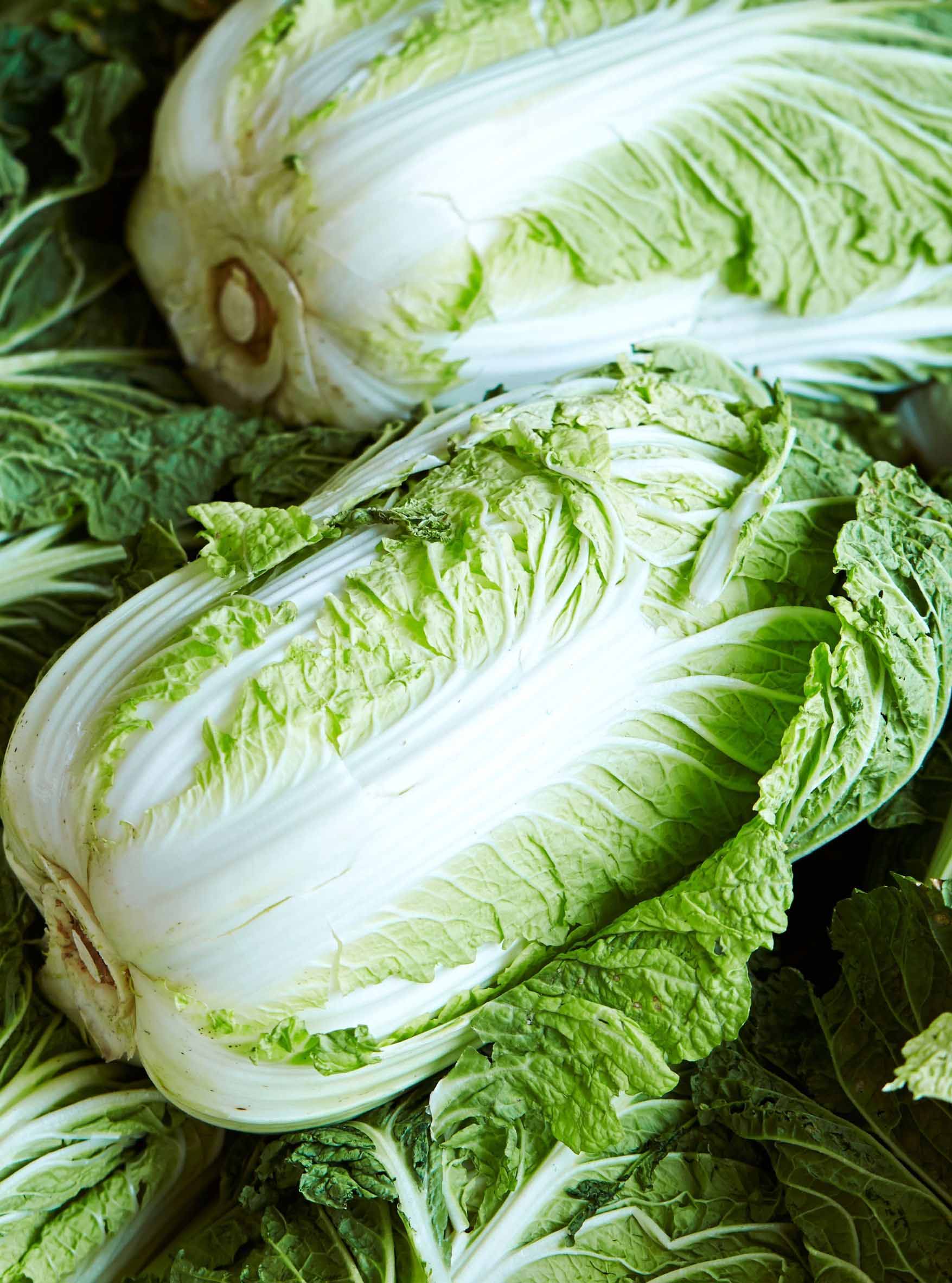 Chinese Cabbage