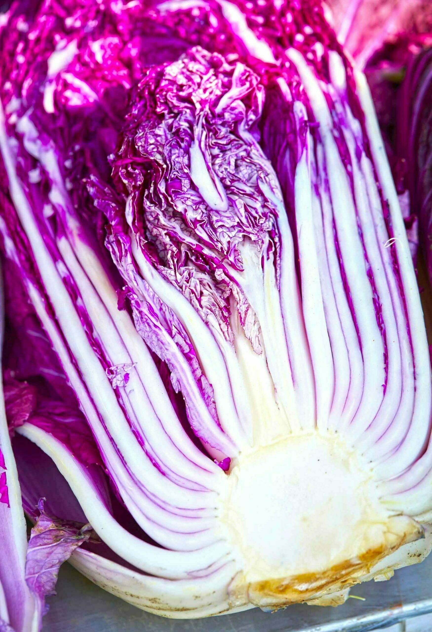 Purple Cabbage