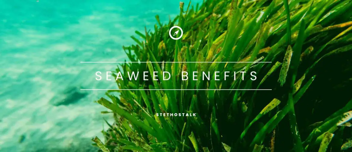 Seaweed Nutritional Value, Benefits, And Precautions