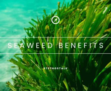 Seaweed Nutritional Value, Benefits, And Precautions