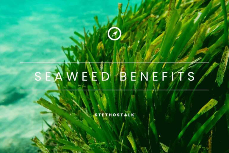 Seaweed Nutritional Value, Benefits, And Precautions
