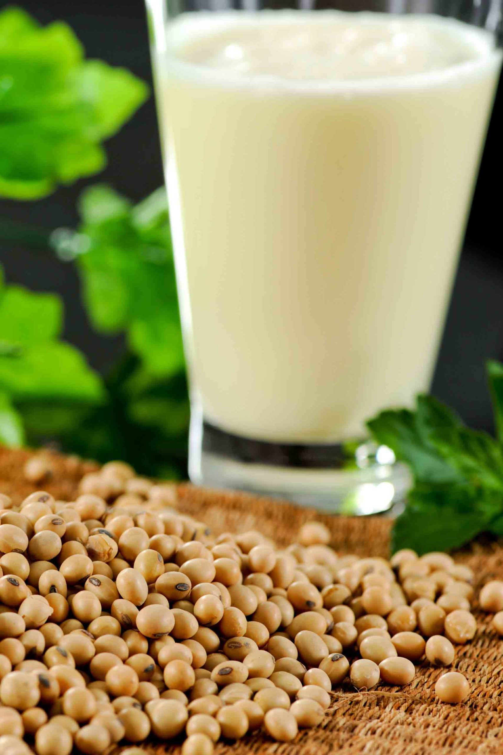 Soy milk glass and soy beans