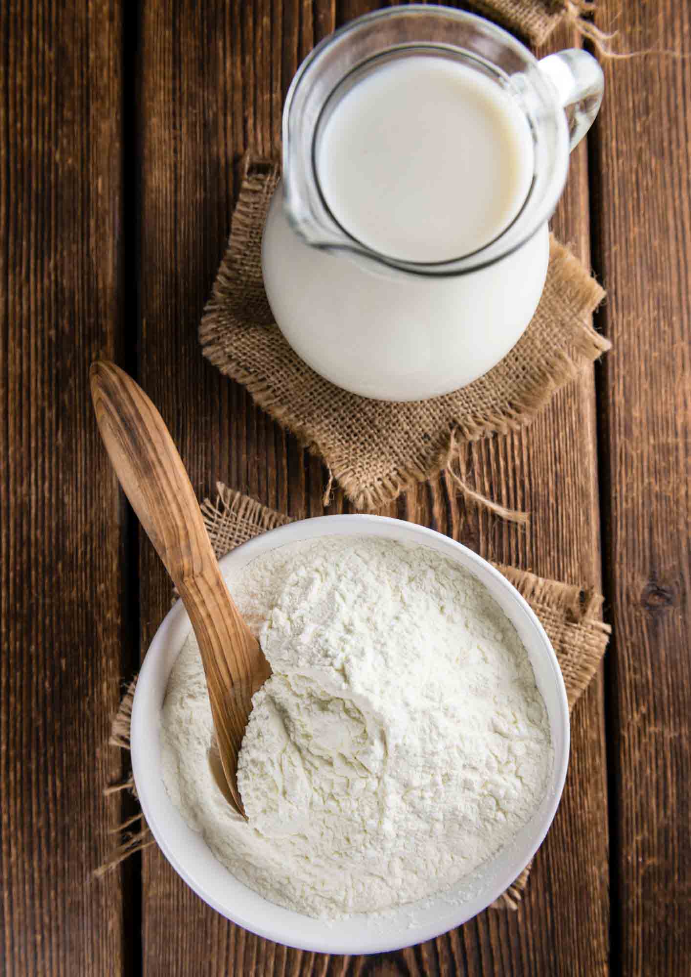 Camel milk powder and milk