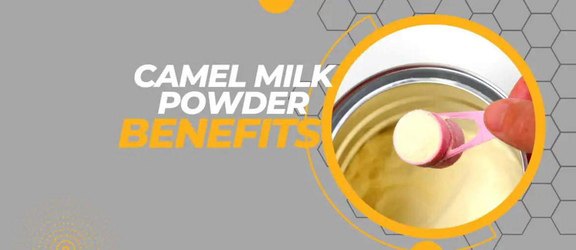 Camel milk powder benefits