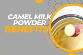 Camel milk powder benefits