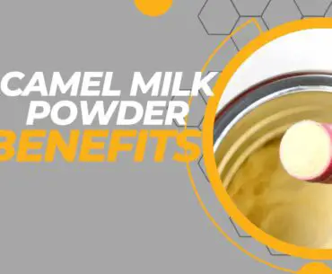 Camel milk powder benefits