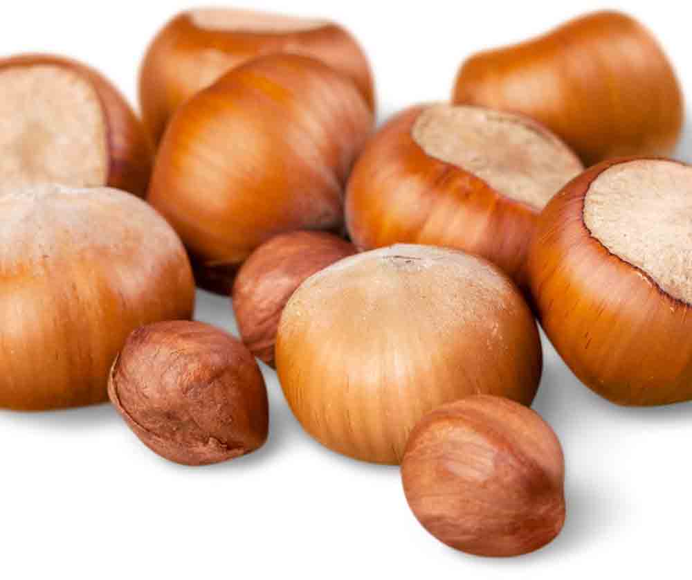 Hazelnuts