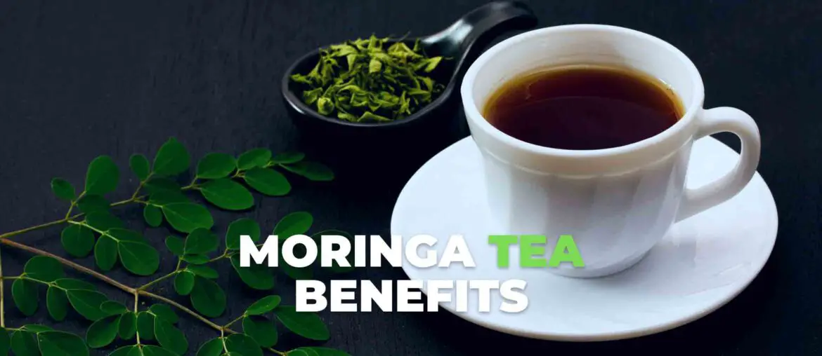 Moringa tea benefits