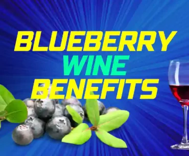 Benefits of blueberry wine