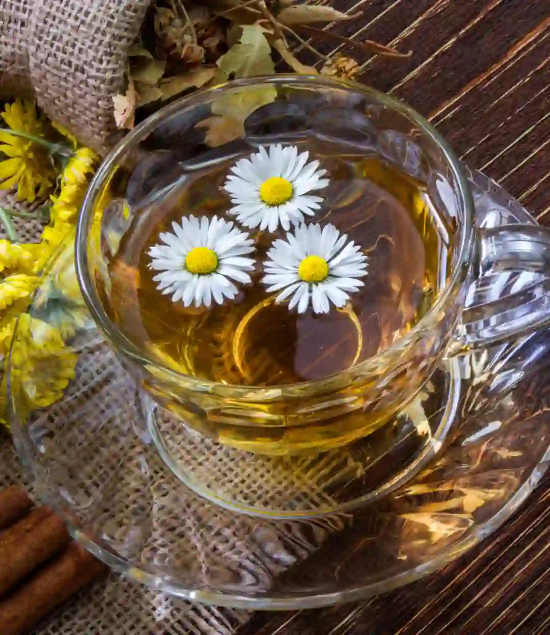 Chamomile tea cup