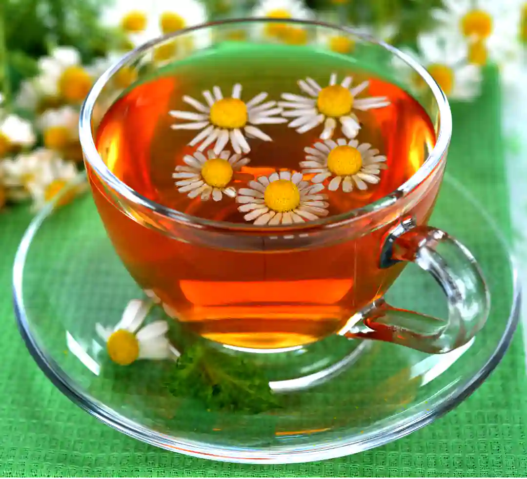 How Does Chamomile Tea Helps You Sleep Peacefully 1 Chamomile tea cup for sleep