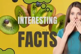 Interesting facts about kiwi fruit