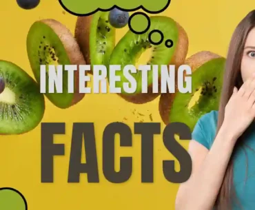 Interesting facts about kiwi fruit