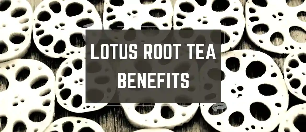 Lotus root tea benefits