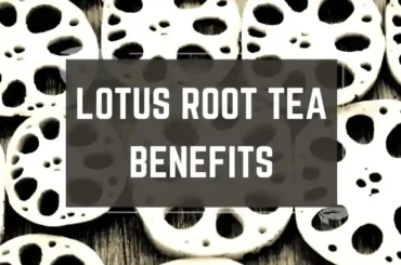 Lotus root tea benefits