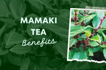 Benefits of mamaki tea