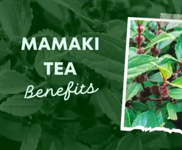 Benefits of mamaki tea