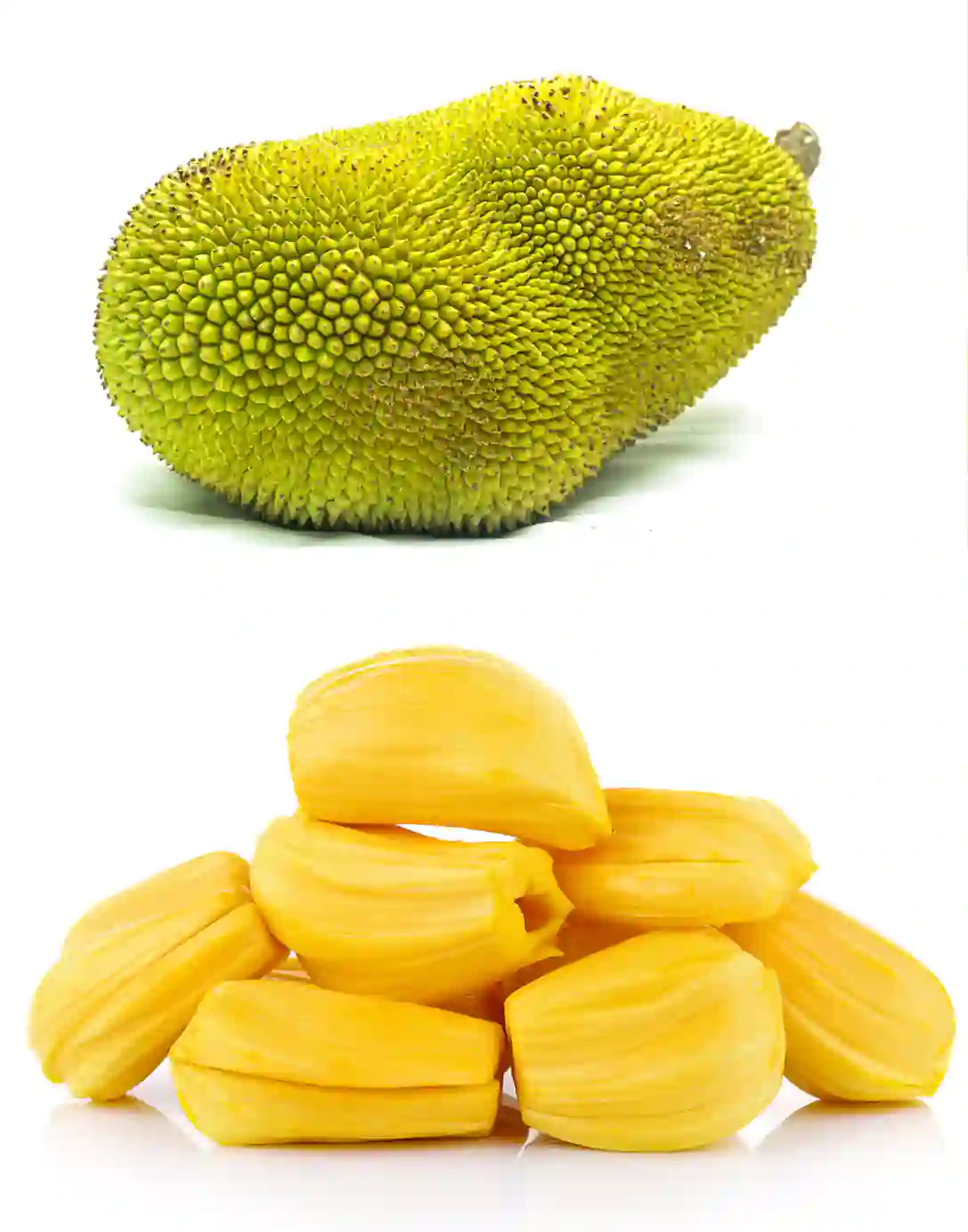 Jackfruit