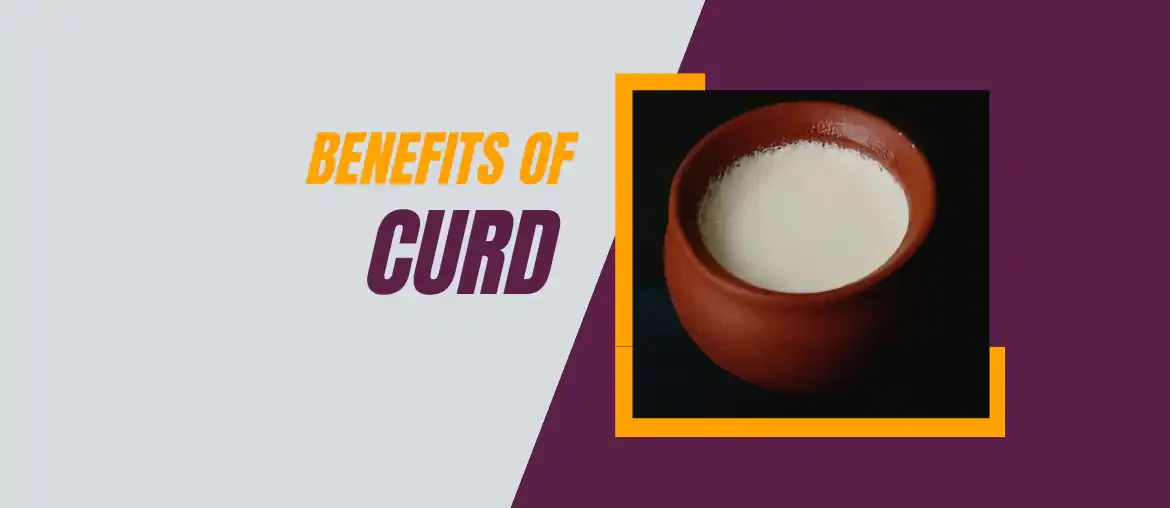 Benefits of curd