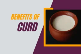 Benefits of curd