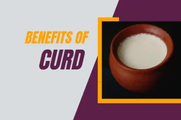 Benefits of curd