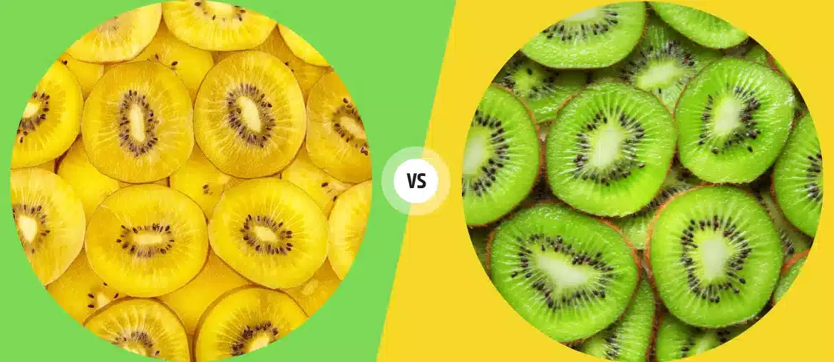 Golden Kiwi Vs Green Kiwi