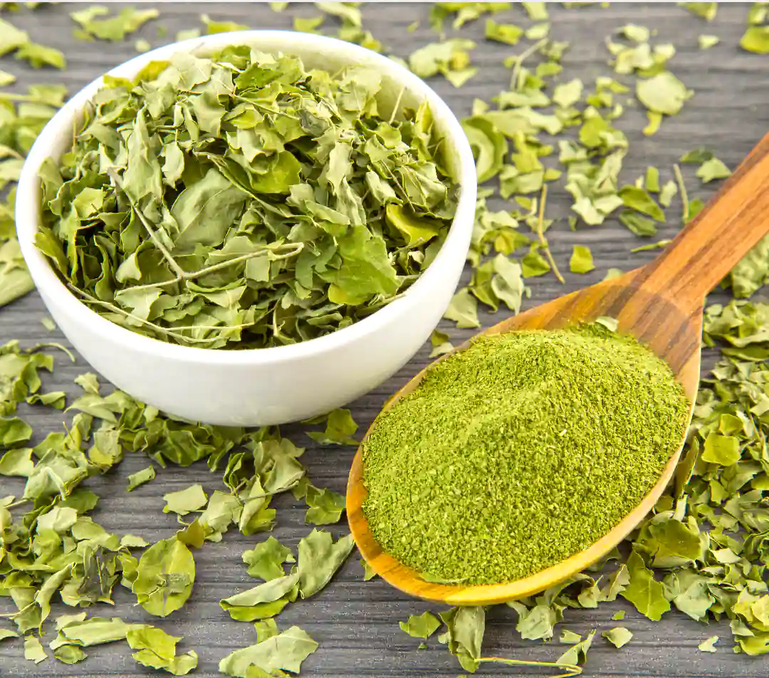 Dried moringa leaves and powder