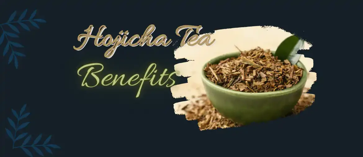 Hojicha tea benefits