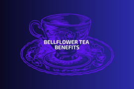 Bellflower tea benefits