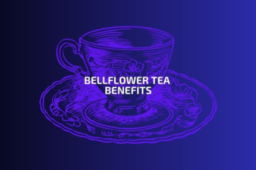 Bellflower tea benefits